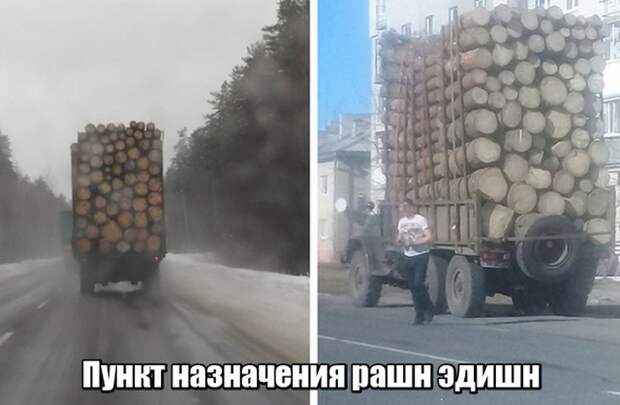 Подборка прикольных фото