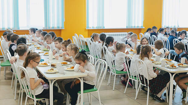 Депутаты предложили ужесточить наказание за отравления детей в школах