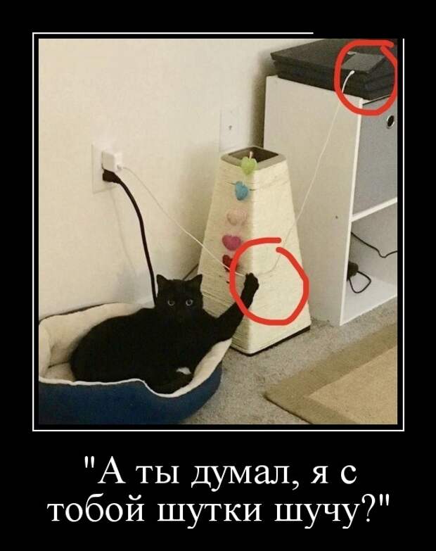 www.vsyako.net