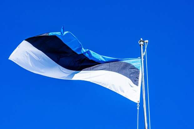Эстония использует замороженные российские активы для поддержки Украины