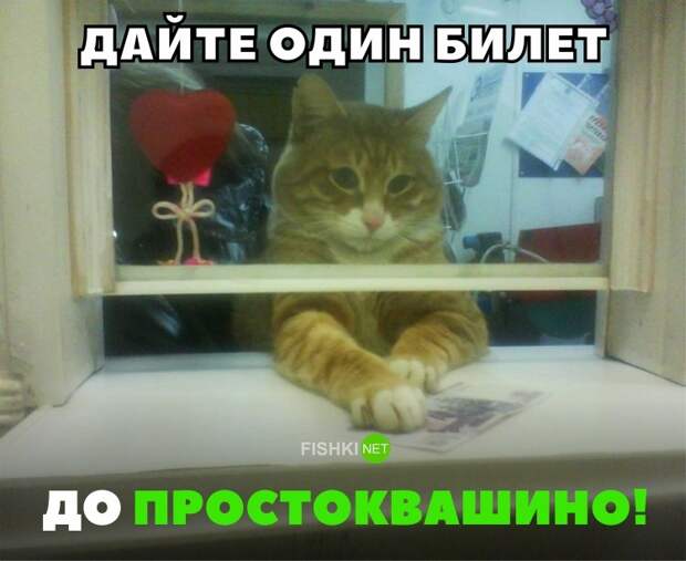 35 позитивных картинок, которые скрасят ваш рабочий день картинки, прикол, юмор