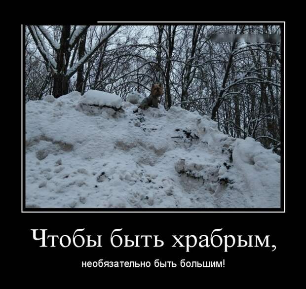 Демотиваторы