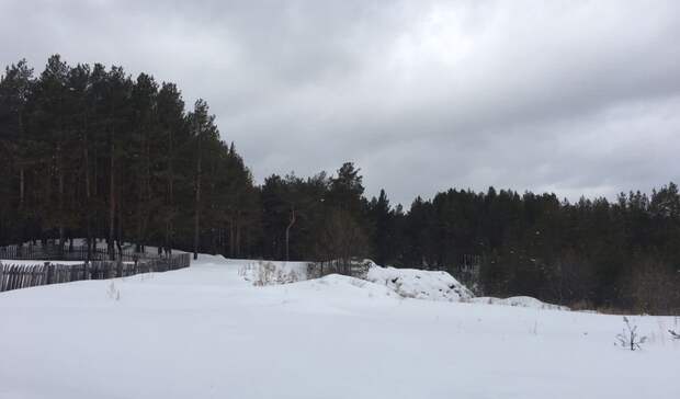 Погода первомайский горноуральский городской округ