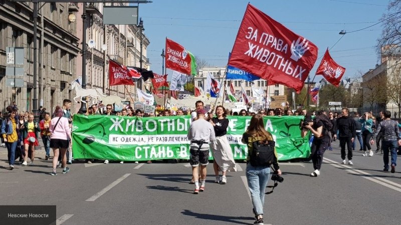 Оппозиция вышла на марш в Петербурге следом за Монстрацией