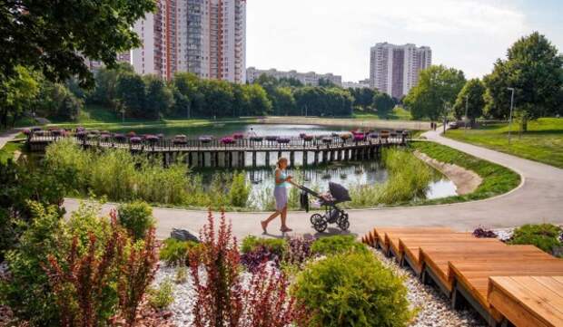 Собянин: На юге Москвы в этом году благоустроят четыре зеленые зоны