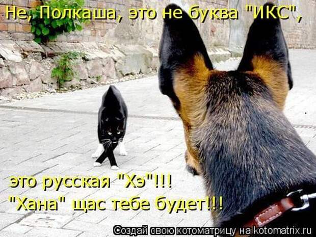 Мысли вслух :)