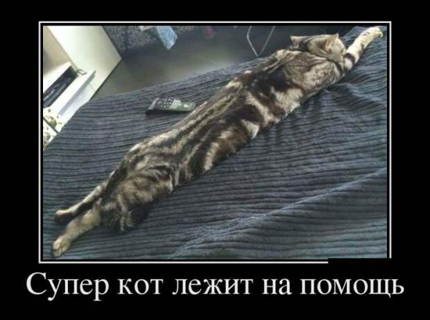 Демотиваторы (30 фото)