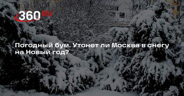 Метеоролог Позднякова рассказала, какой будет новогодняя ночь в Москве