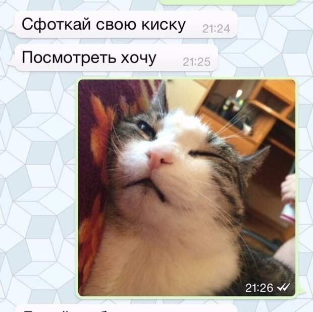Смешные комментарии из социальных сетей Смешные комментарии из социальных сетей