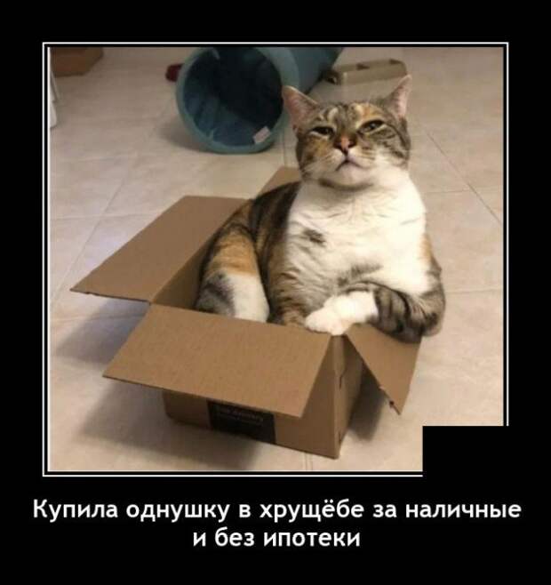 Демотиватор про квартиру
