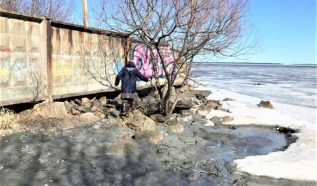 Прокуратура Карелии завела дело против загрязняющих берега Онежского озера компаний