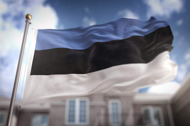 Консулу Эстонии в Петербурге дали 48 часов, чтобы покинуть Россию