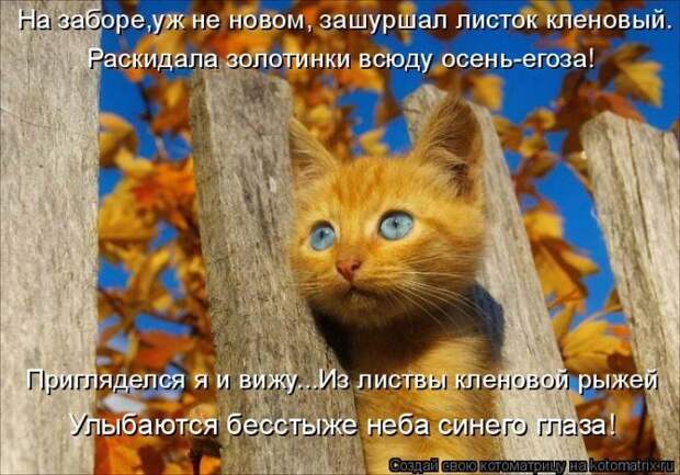 Мысли вслух :)