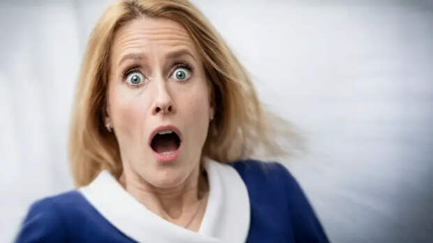 "Поросячий визг" Каи Каллас попал в комментарий МИДа России