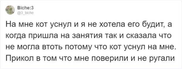 www.vsyako.net