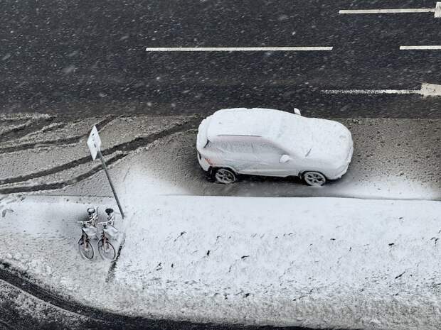 Снежный армагеддон в Москве: как столица справляется с непогодой