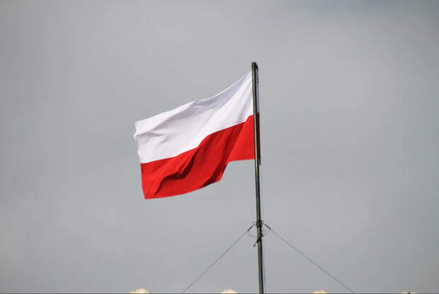 «РВ»: ВС РФ уничтожили польских наемников в зоне СВО