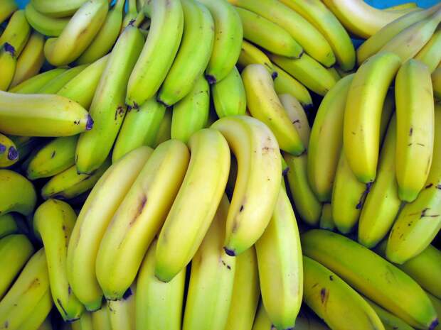 Ритейлеры отметили отсутствие проблем с поставками бананов в Россию
