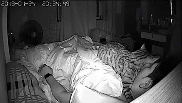 Парень установил скрытую камеру, чтобы увидеть, что делает его кошка, пока он спит
