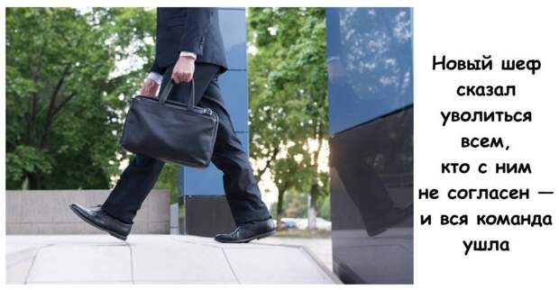 Новый шеф сказал уволиться всем, кто с ним не согласен — и вся команда ушла