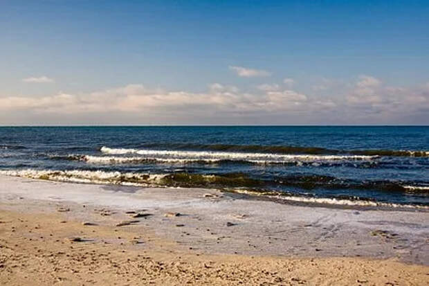 Стало известно о задержании директора нацпарка «Куршская коса»