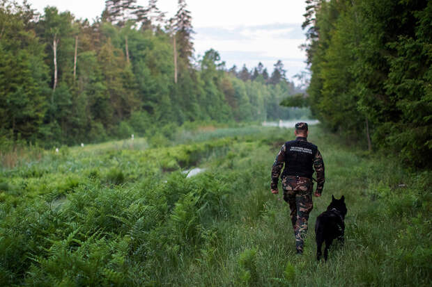 РИА: владелец деревни Веселуха на северо-западе Белоруссии продает ее за $10 тыс