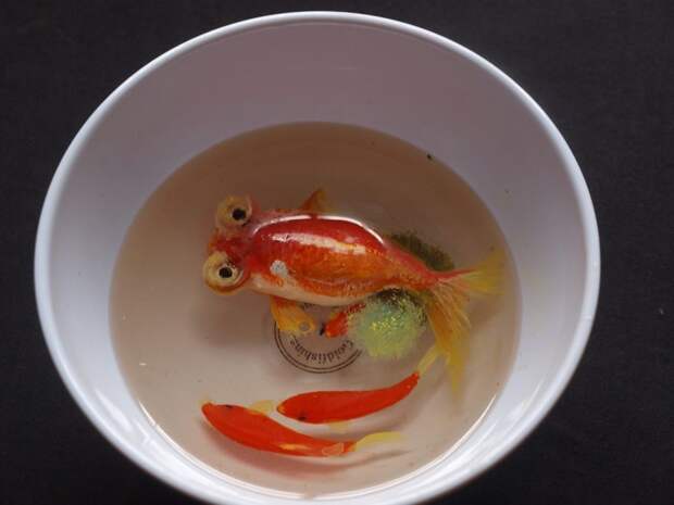 Невероятно объемные картины аквариумных рыбок японского художника Riusuke Fukahori