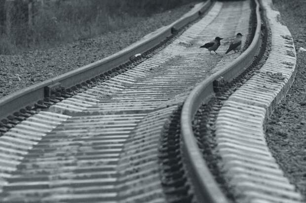 Пассажирский поезд Челябинск — Москва сошел с рельсов. В нем находилось несколько сотен человек