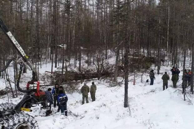 В Приамурье разбился вертолет с сотрудниками СК и полиции. «Никто не выжил»