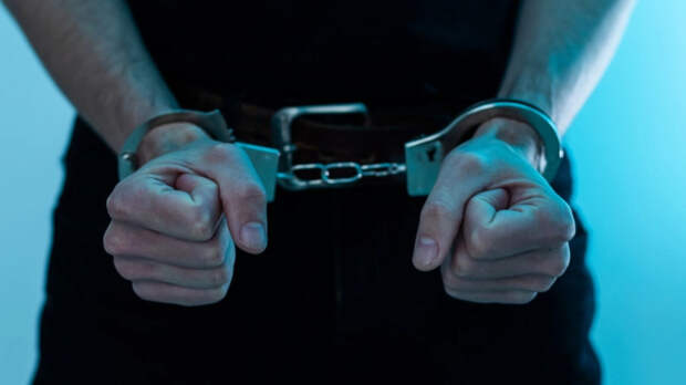 Бывший тренер по фигурному катанию задержан в Новосибирске по подозрению в совершении развратных действий в отношении несовершеннолетних