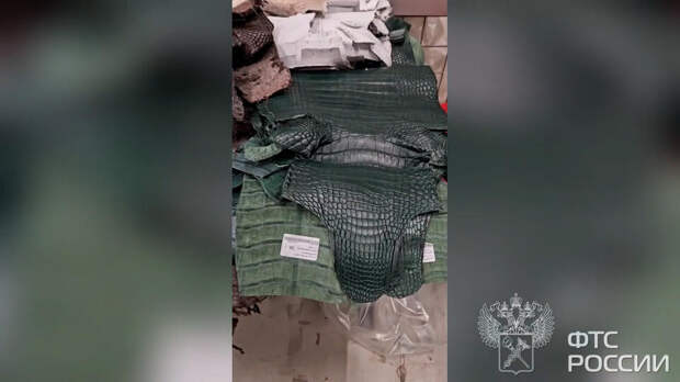 Пассажир из КНР с набитым крокодиловыми шкурами багажом задержан в Шереметьеве