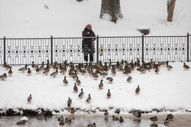 Снег и -6 градусов: о погоде в Туле 3 января