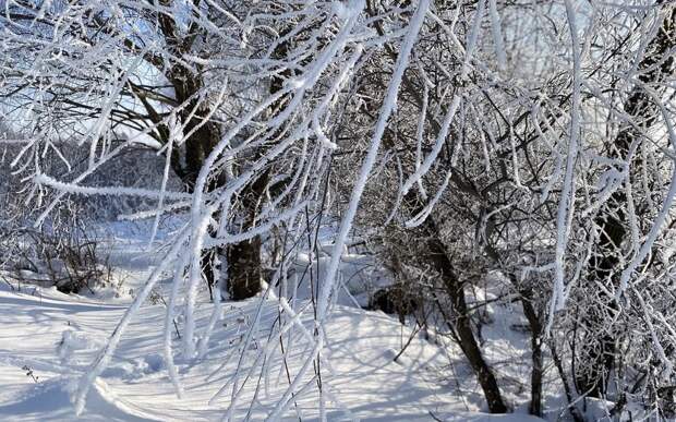 27 февраля в Рязанской области потеплеет до +1 градуса