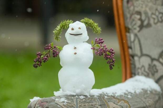 Весна в Центральной России может наступить раньше климатической нормы