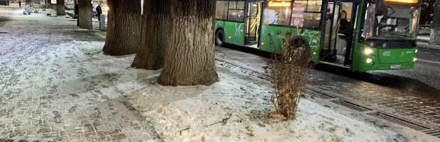 Какие нарушения чаще всего совершают водители автобусов в Алматы