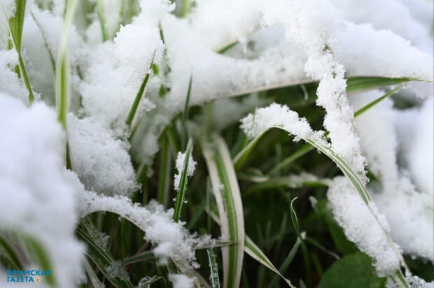От снега до весеннего солнца: в Гидрометцентре Крыма рассказали о погоде на этой неделе