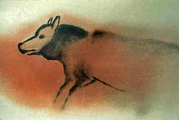 Изображение волка, найденное в пещере Фон-де-Гом вместе с другими наскальными рисунками эпохи позднего палеолита.