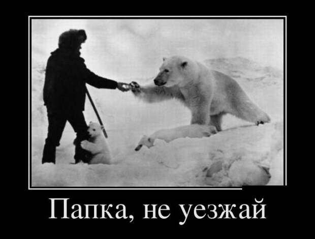 Демотиваторы (30 фото)