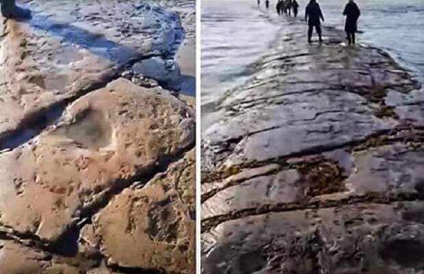 Таинственная каменная дорога внезапно всплыла на побережье Сахалина