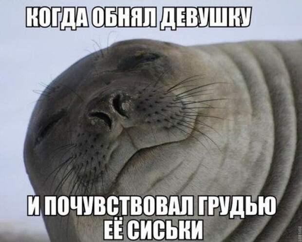 Смешные картинки с надписями прикол, юмор