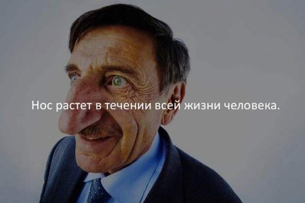 Интересные факты для любознательных