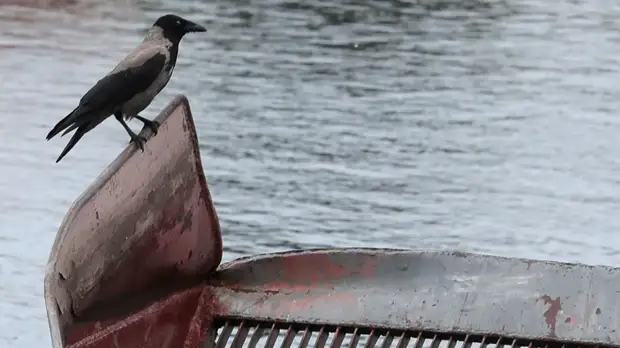 В Подмосковье произошёл разлив топлива в Москву-реку