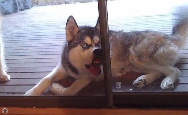 А мы милашки! 8