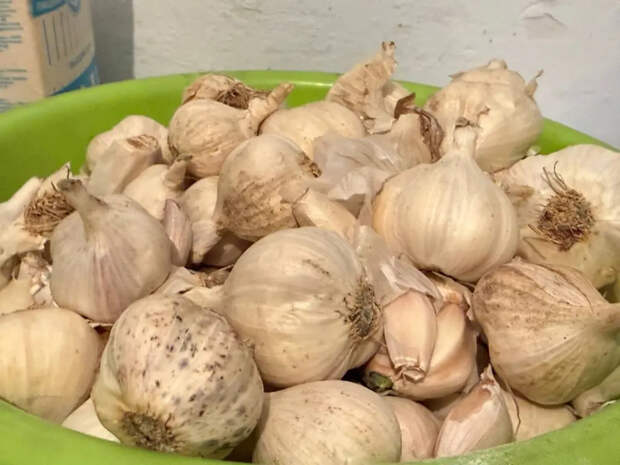 Плесните это на грядку в апреле — и чеснок ответит желтизной: садовод объяснил подвох дешевой подкормки