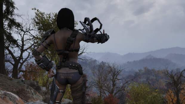 Моддер откликнулся на просьбы игроков и выпустил мод, изменяющий внешний вид нижнего белья в Fallout 76