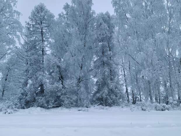 Почему 25 февраля нужно мыть полы и кормить черного кота рыбой?