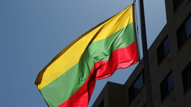 Литва проводит нерациональную политику