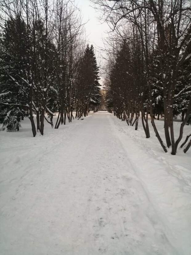 Фото автора