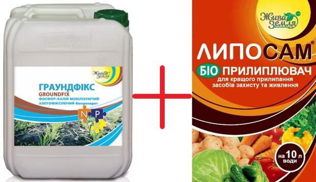 Граундфикс и липосам