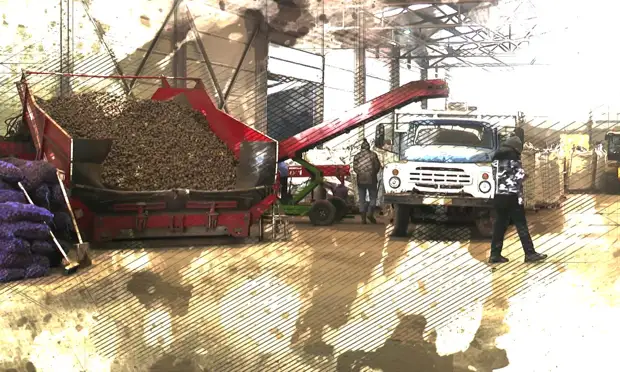 Фермер рассказал о запасах картофеля в Орловской области